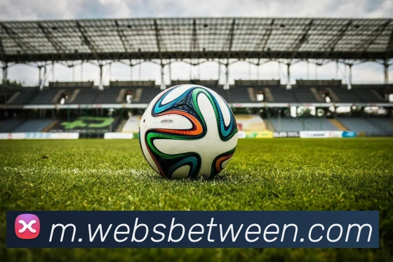 体育数据展示